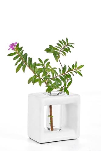 ORGJ Ceramic Propagation Station with Glass Tubes