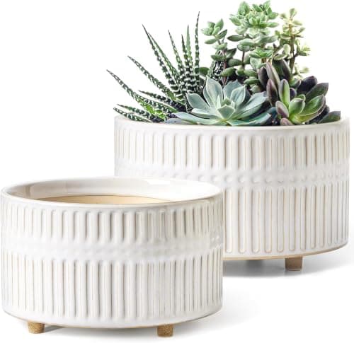 LE TAUCI Shallow Succulent Pots with Drainage, 6.5 and 8 in, set of 2