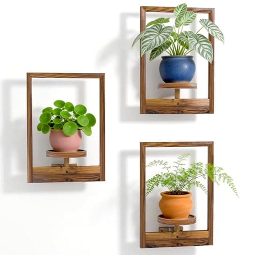 Wood Wall Plant Shelf, 16.5 by 11.8 in, 22 lb, set of 3