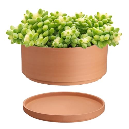JUXYES 10 in Shallow Terracotta Pot with Drainage and Saucer