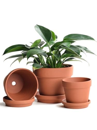 INGOFIN Terracotta Pots with Saucers, 5, 6 and 7 in