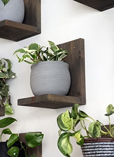 Daniel's Plants L Shaped Floating Plant Shelf, solid wood, 3 pack