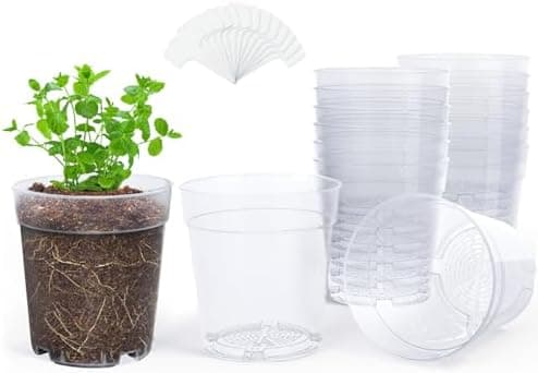 homenote 6.7 in Clear Plastic Nursery Pots with Drainage, 15 pack