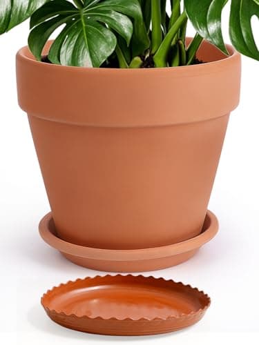 INGOFIN 12 in Terracotta Pot with Saucer