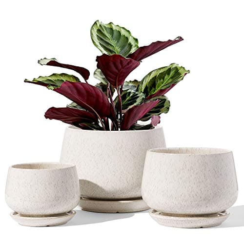 LE TAUCI Ceramic Plant Pots with Drainage and Saucer, set of 3