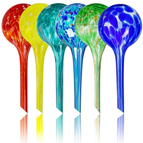 Glass Watering Globes, 100 ml each, set of 6