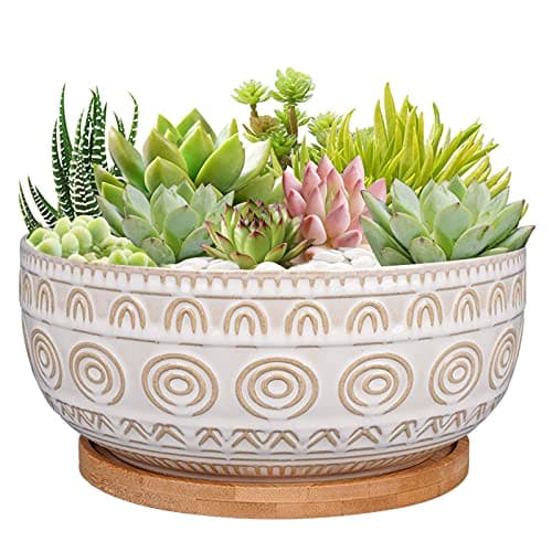 Eightpot 8 in Shallow Ceramic Succulent Pot with Drainage and Saucer