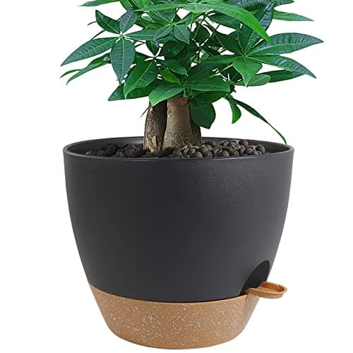 UOUZ 12 in Self Watering Pot, 60 oz reservoir