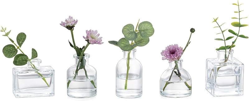 Glasseam Mini Glass Propagation Vases, set of 5