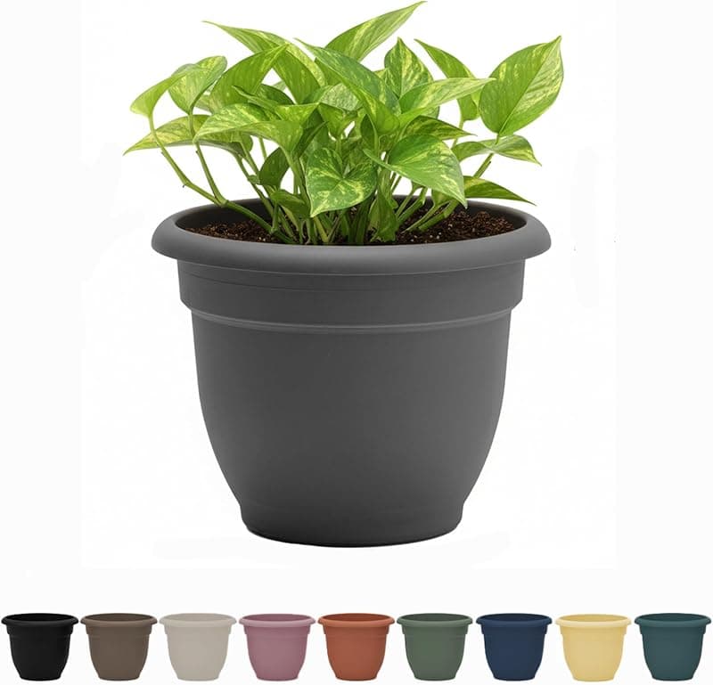 Bloem Ariana Self Watering Planter, 20 in