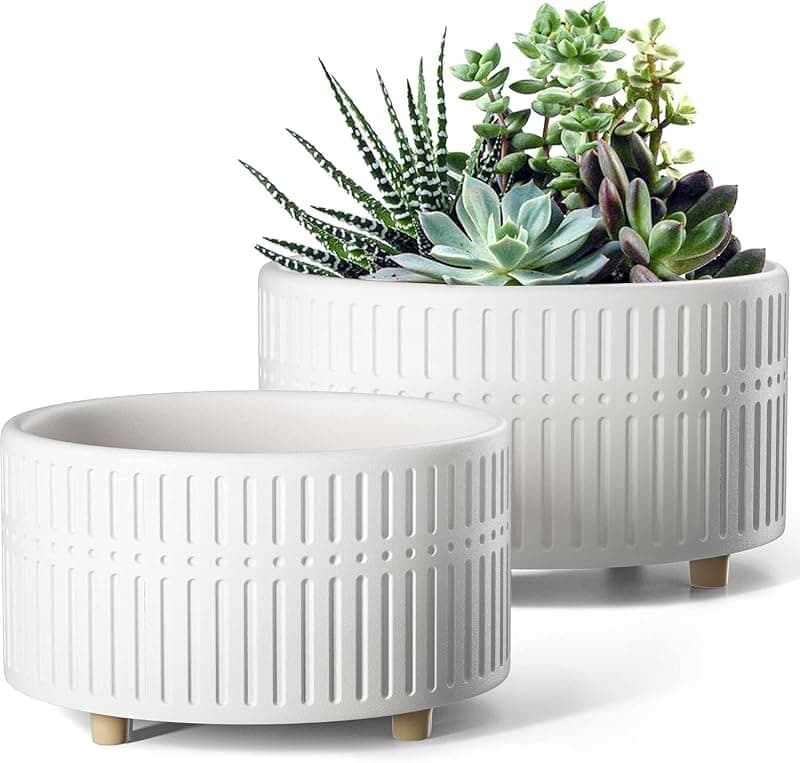 LE TAUCI Shallow Succulent Pots with Drainage, 6.5 and 8 in, set of 2