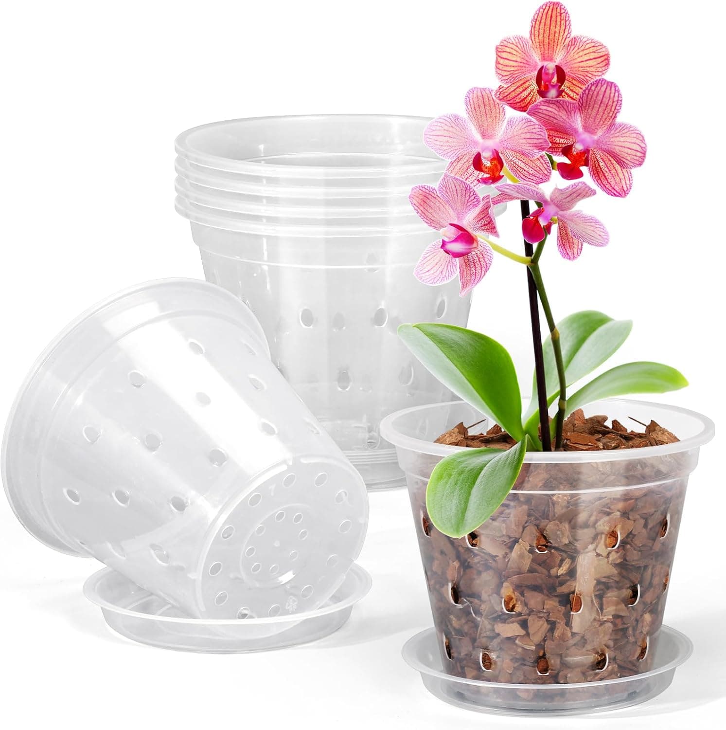 FUIJOL Clear Slotted Orchid Pots with Saucers, 5 in top diameter, 6 pack