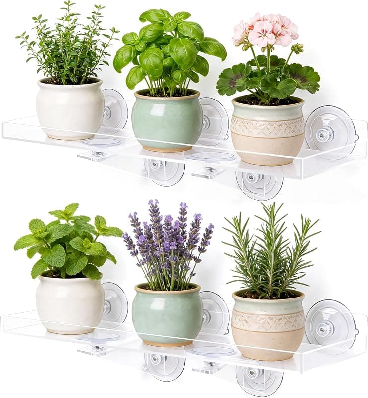 Window Plant Shelves with Support Brackets, 15.7 by 5.9 in, 2 pack