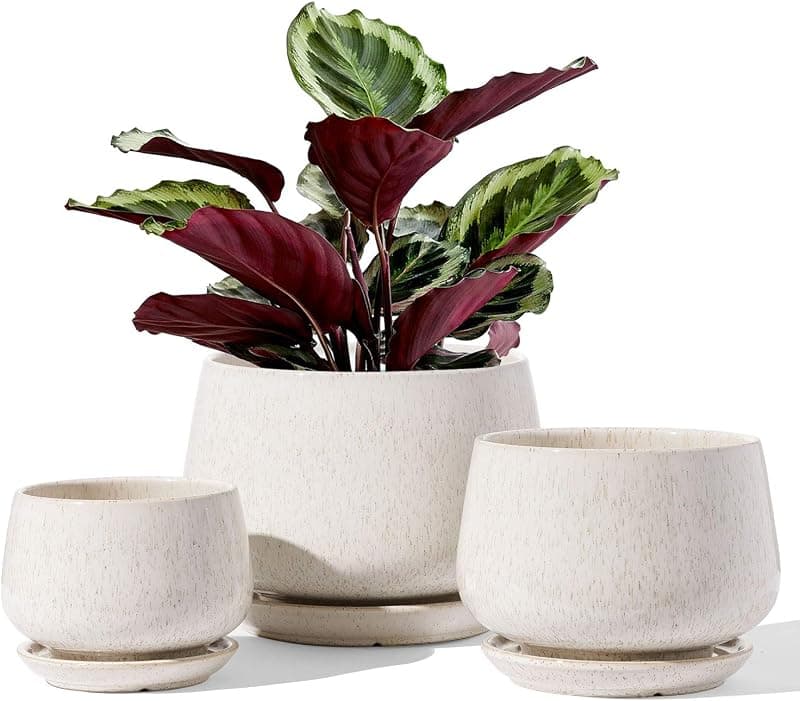 LE TAUCI Ceramic Plant Pots with Drainage and Saucer, set of 3