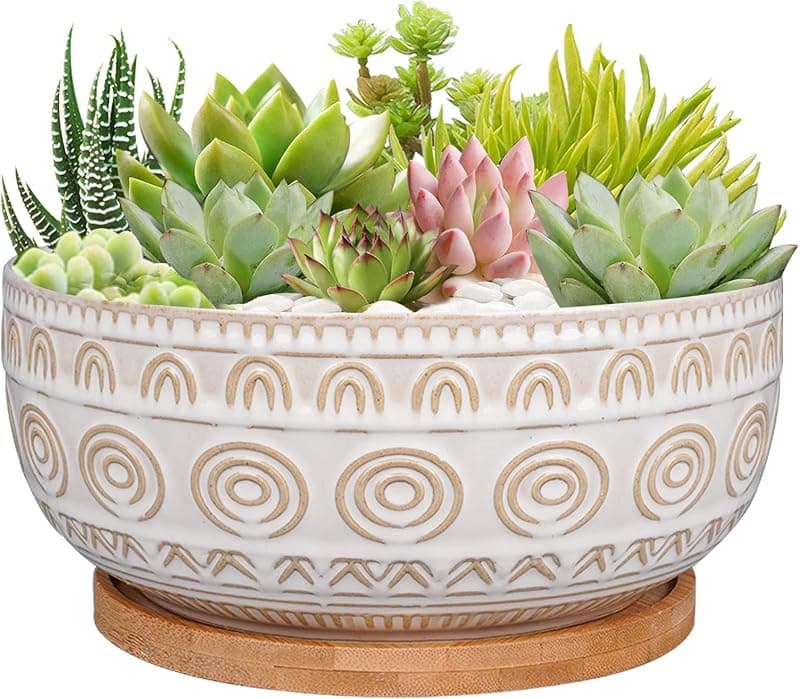 Eightpot 8 in Shallow Ceramic Succulent Pot with Drainage and Saucer