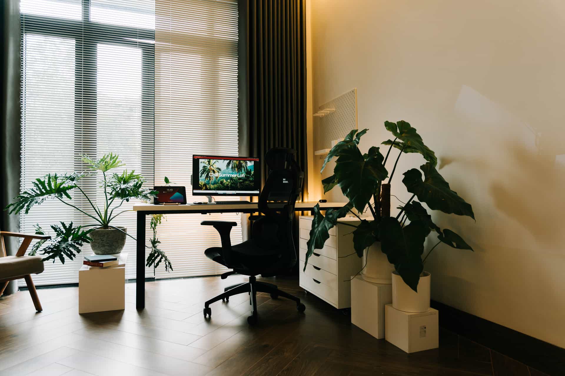 A large potted plant standing on a wooden floor in a bright living room