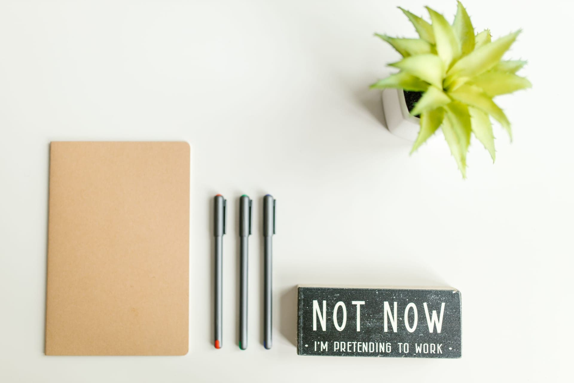 A notebook, pens and a small potted plant arranged on a desk