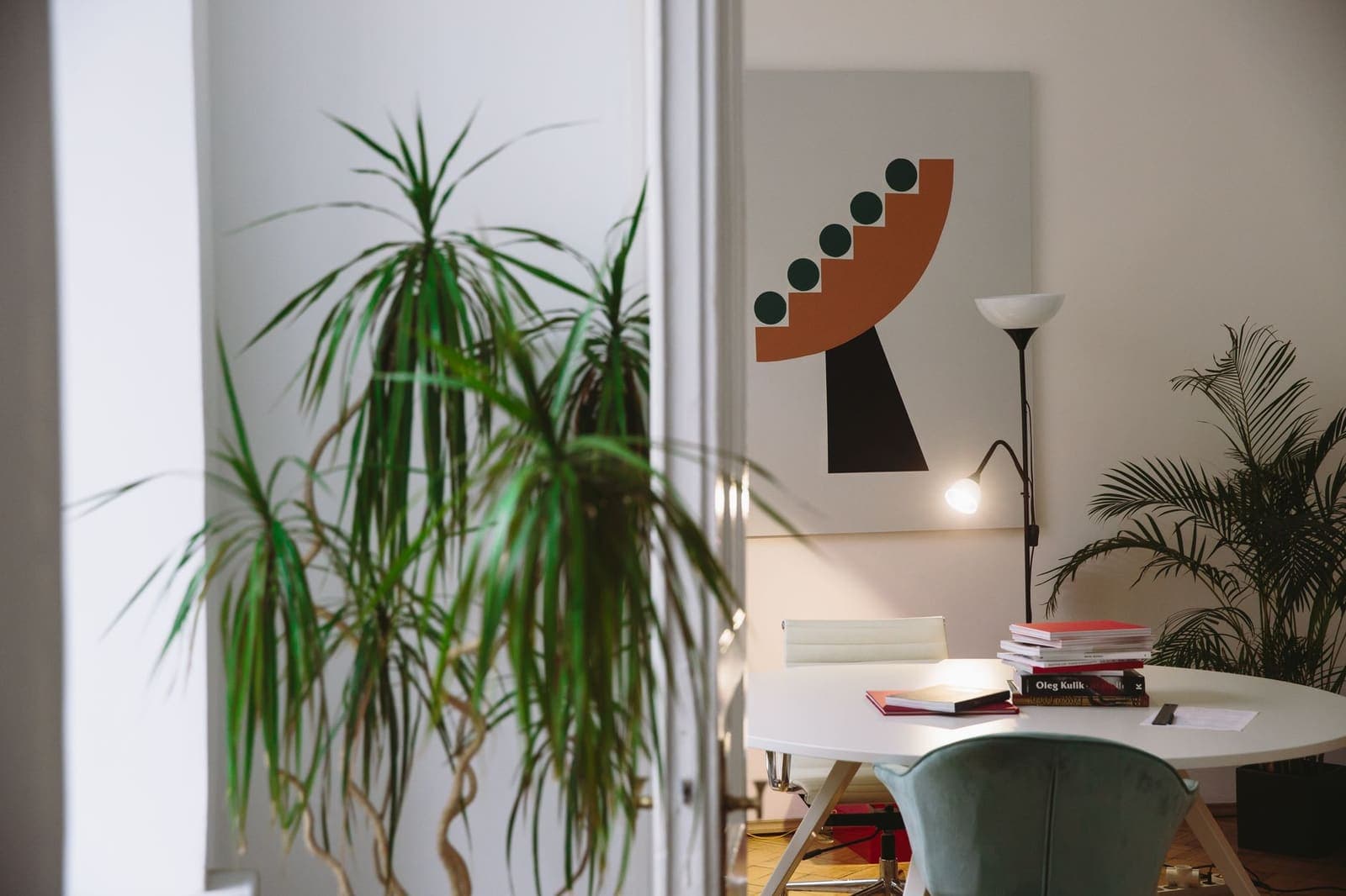 Houseplants in a room with a floor lamp switched on