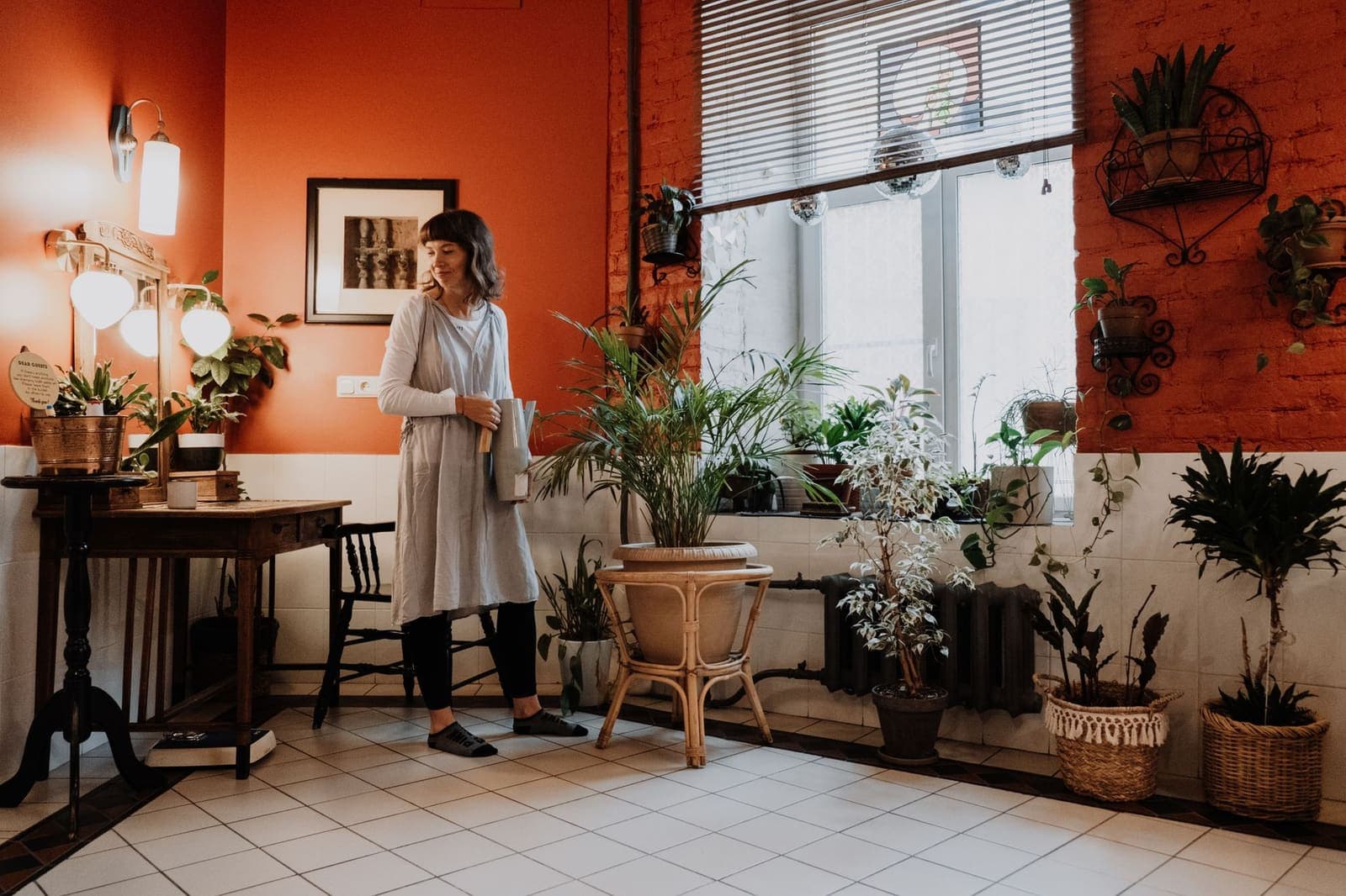 Houseplants arranged on a stand and shelves in a bright living room