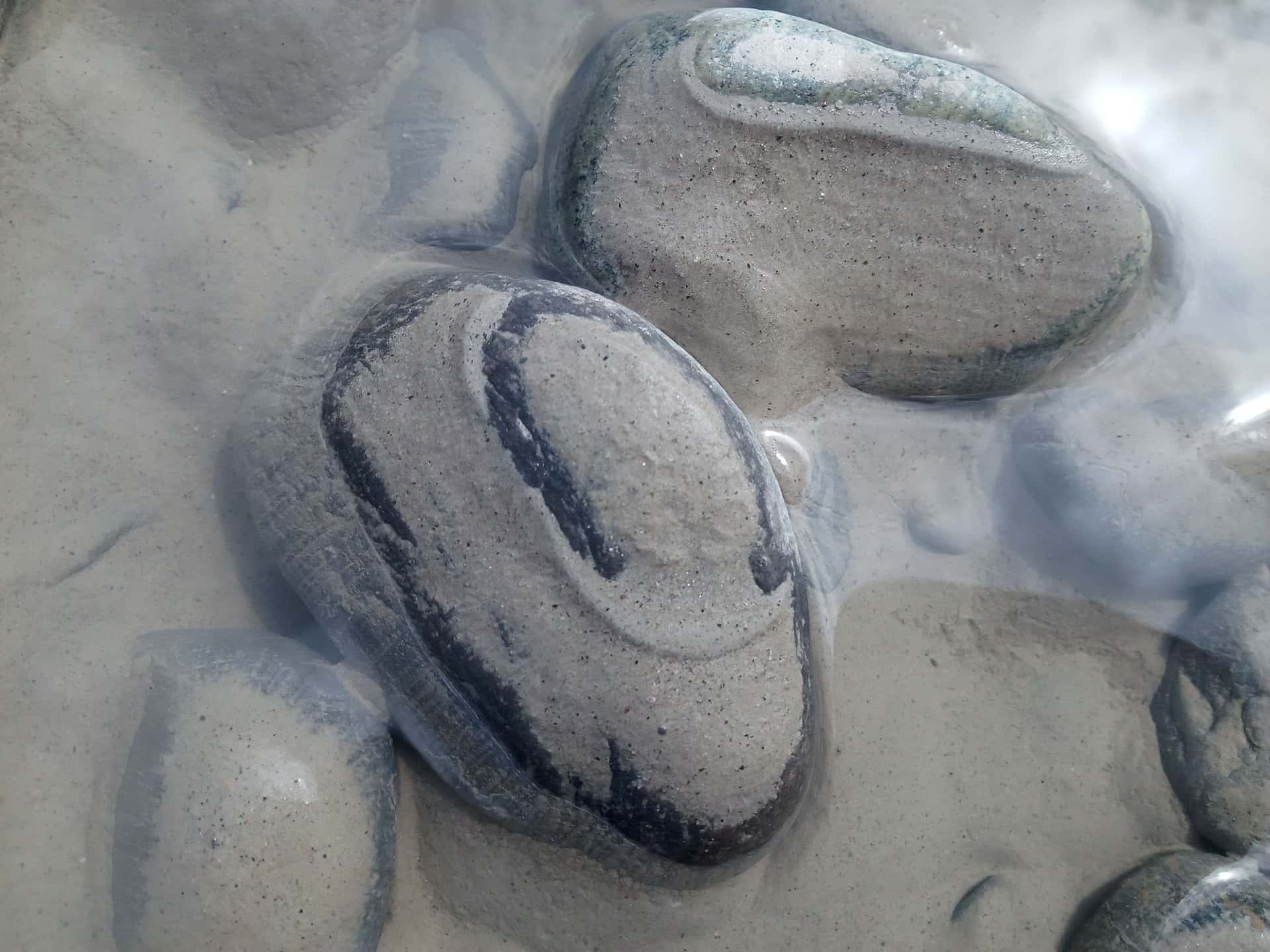 Smooth pebbles submerged in shallow clear water