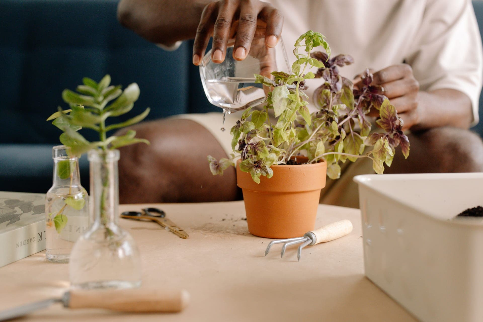 Tending a potted plant indoors with tools and glass bottles nearby
