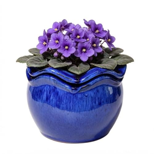krayce Serenya Ceramic Self-Watering African Violet Pot, 6.5 in, terracotta inner pot