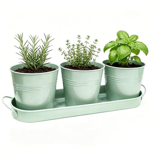 TCBWFY 4.7 in Metal Herb Pots with Drainage and Removable Tray, 3 pack