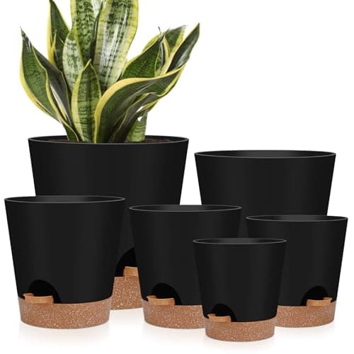 YNNICO Self Watering Planters with Drainage and Saucers, 6 pots
