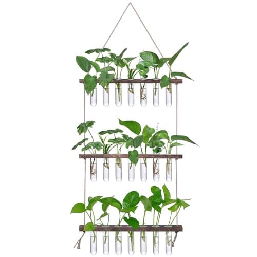 XXXFLOWER Wall Hanging Propagation Station, 21 test tubes, 3 tiers