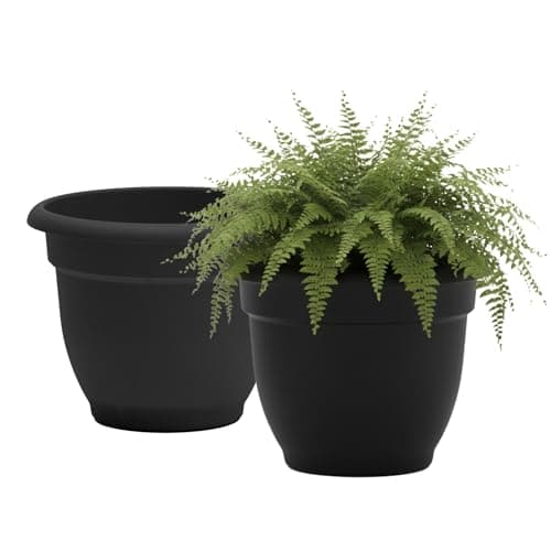 Bloem Ariana Self Watering Planter, 20 in, 2 pack