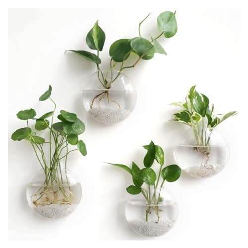 Mkono Wall Propagation Planters, oblate hanging vases, 4 pack