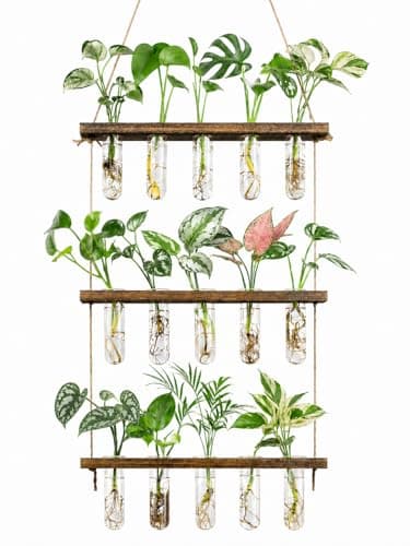 Monsiter QE 3 Tier Wall Hanging Propagation Station, 15 test tubes