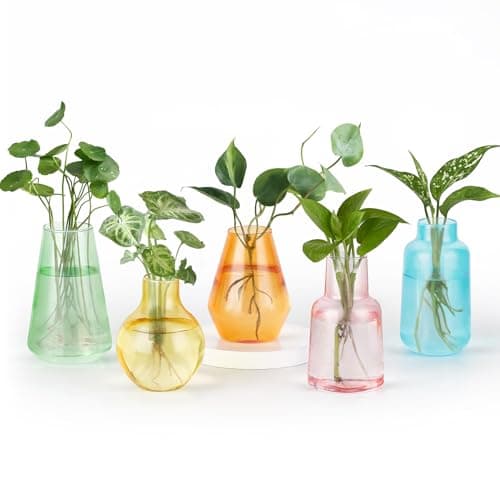 Mkono Propagation Vases, 5 glass jars, assorted shapes
