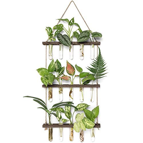 Mkono 3 Tier Wall Hanging Propagation Station, test tubes