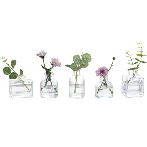 Glasseam Mini Glass Propagation Vases, set of 5