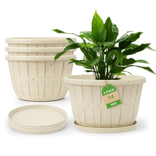 Quarut 14 in Plastic Planter with drainage and saucer, 5 gallon, 4 pack
