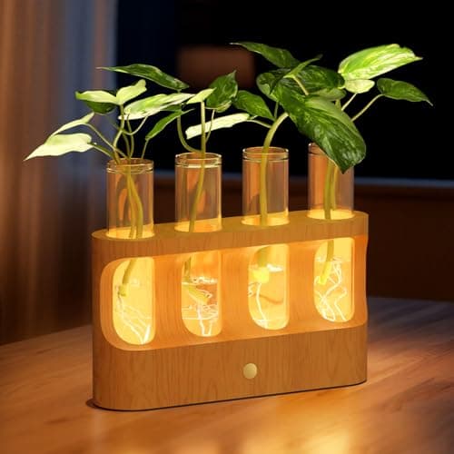 Lightalent Rechargeable Propagation Station with LED, beech wood, 4 vessels