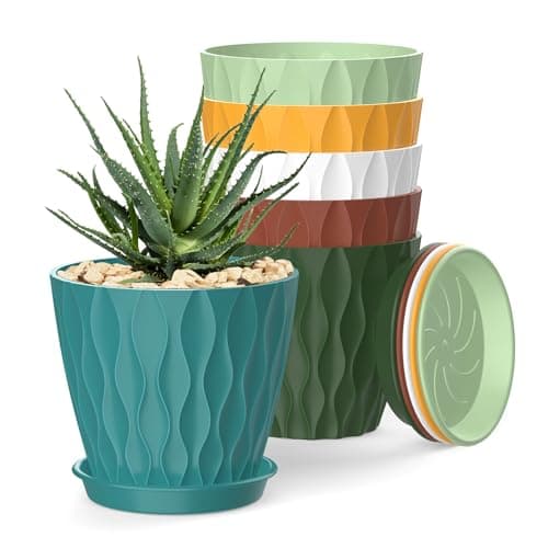 SQKH 4 in Plant Pots with Drainage Holes and attached trays, 6 pack