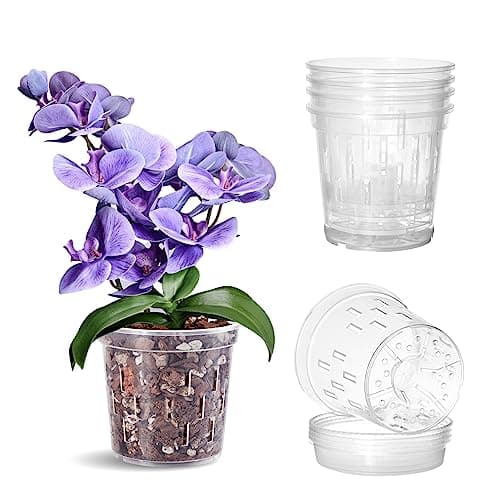 TRUEDAYS Clear Slotted Orchid Pots with Saucers, 5 in, 4 pack