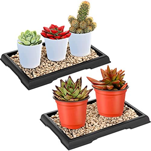 Pinkunn Bonsai Humidity Tray, 7.8 by 5.5 in, 2 pack