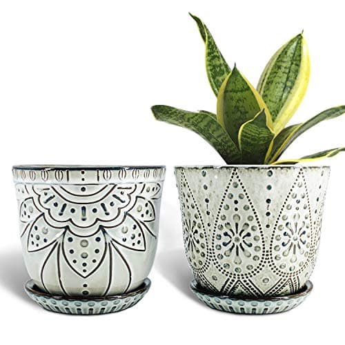 Gepege 6 in Ceramic Plant Pots with Drainage and Saucers