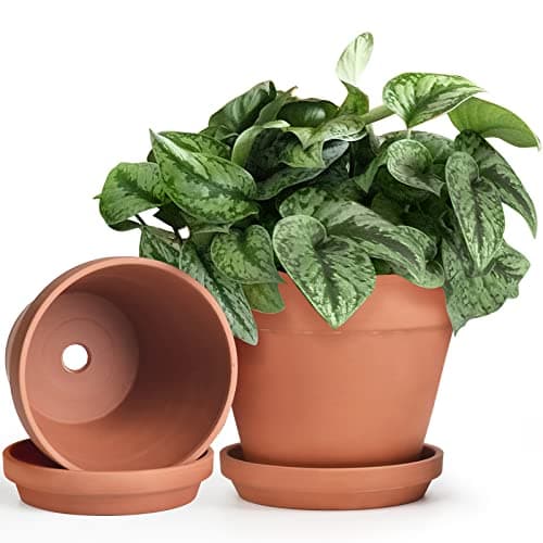 INGOFIN Terracotta Pots with Saucers, 8 in, 2 pack