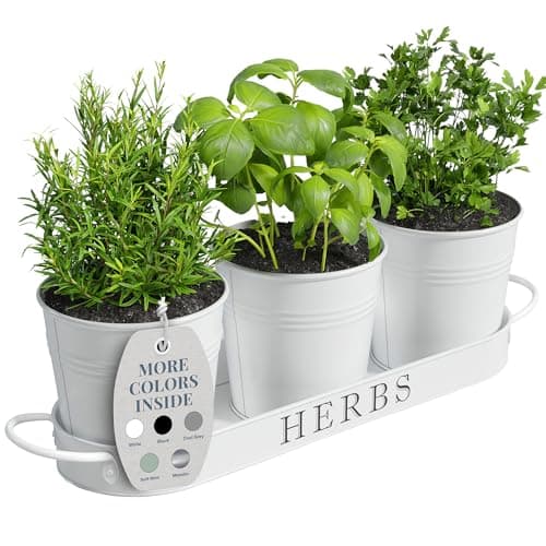 Barnyard Designs Indoor Herb Garden Planter Pots with Trays, set of 3