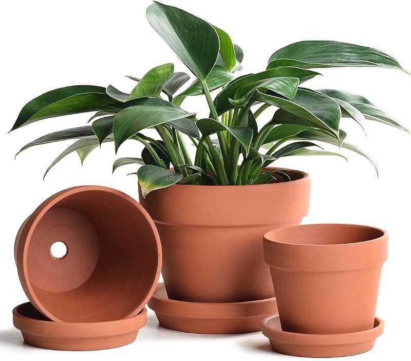 INGOFIN Terracotta Pots with Saucers, 5, 6 and 7 in