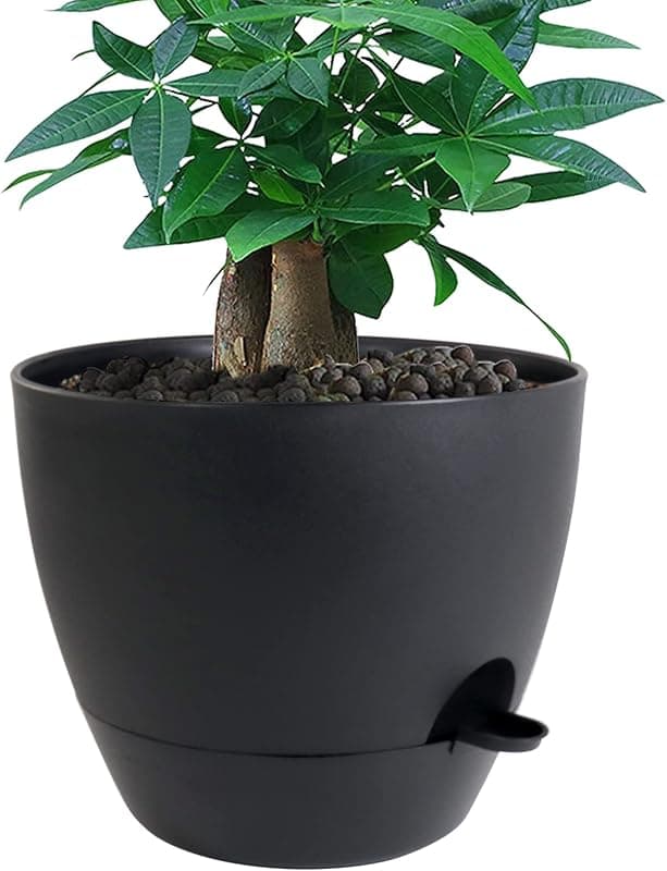 UOUZ 12 in Self Watering Pot, 60 oz reservoir