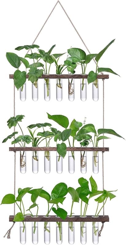 XXXFLOWER Wall Hanging Propagation Station, 21 test tubes, 3 tiers