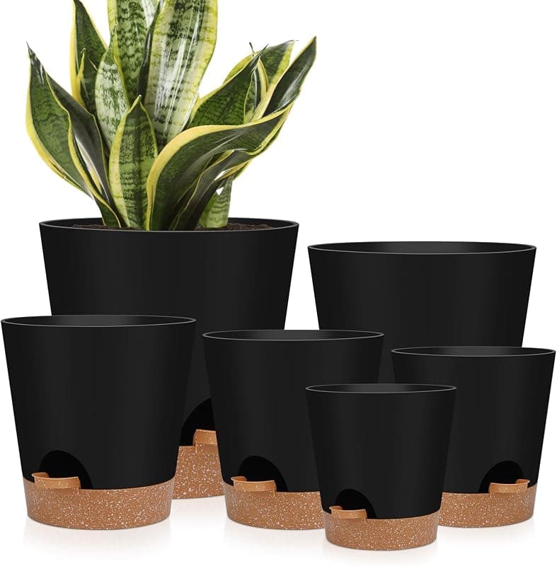 YNNICO Self Watering Planters with Drainage and Saucers, 6 pots