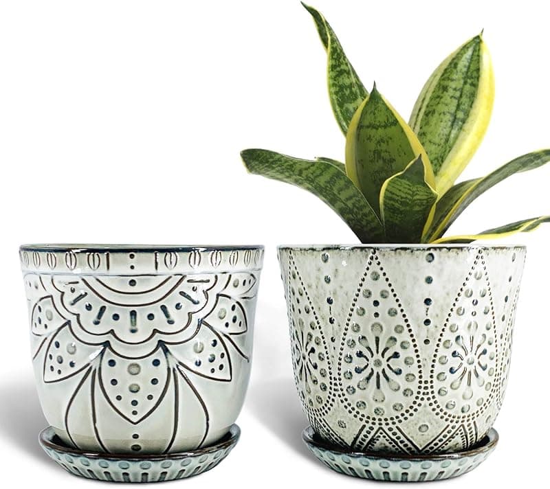 Gepege 6 in Ceramic Plant Pots with Drainage and Saucers