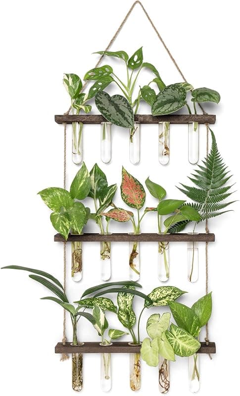 Mkono 3 Tier Wall Hanging Propagation Station, test tubes