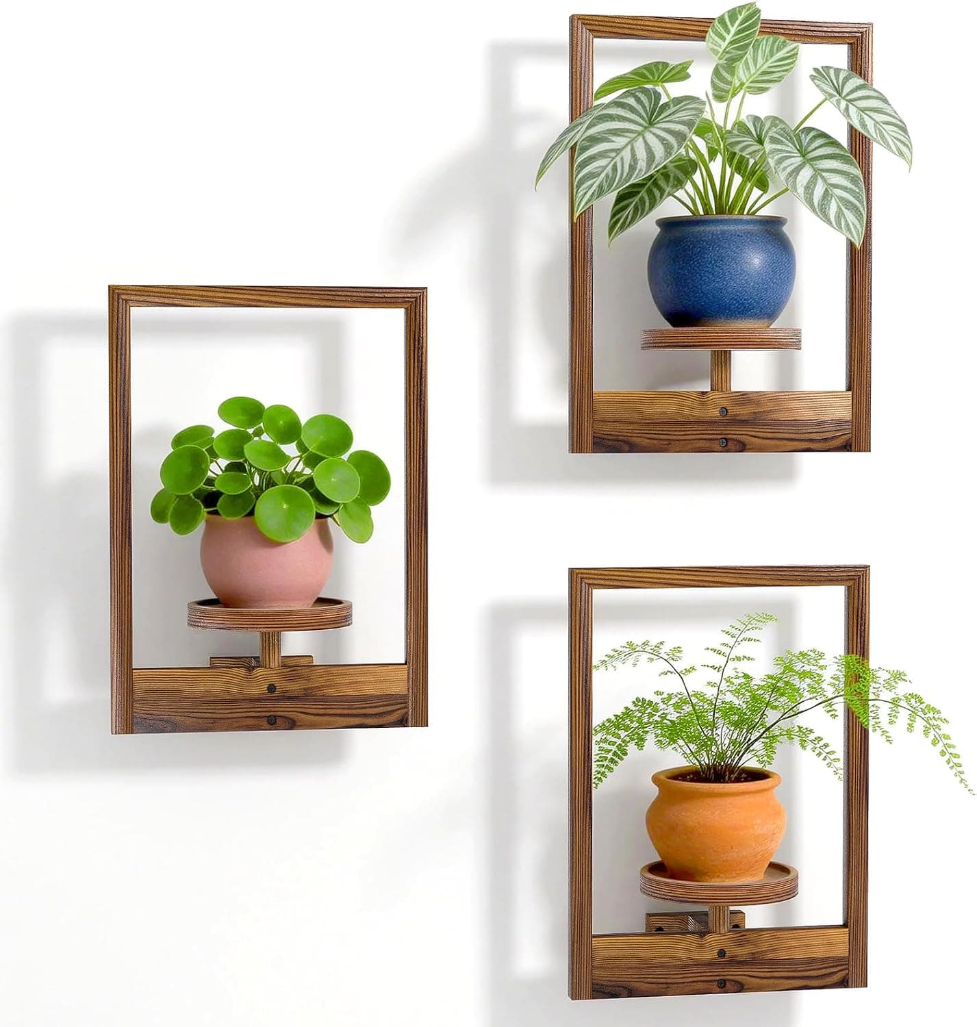 Wood Wall Plant Shelf, 16.5 by 11.8 in, 22 lb, set of 3